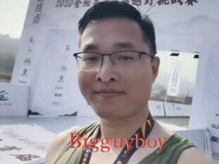 Bigguyboy