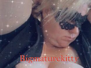 Bigmaturekitty