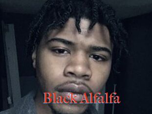 Black_Alfalfa