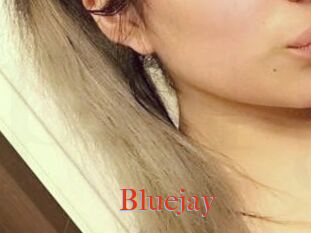 Blue_jay