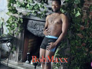 BobMaxx