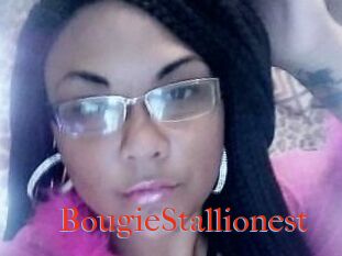 BougieStallionest