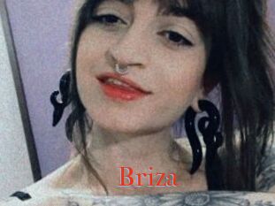 Briza