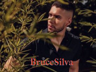BruceSilva