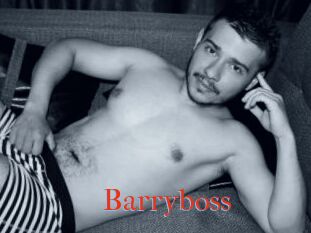 Barryboss