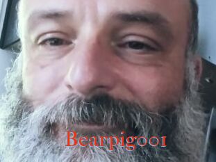 Bearpig001