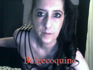 Belgecoquine