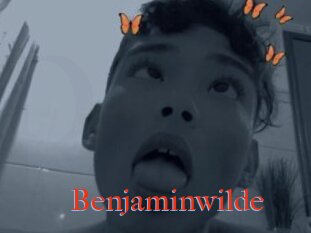 Benjaminwilde
