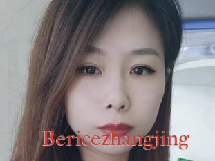 Bericezhangjing