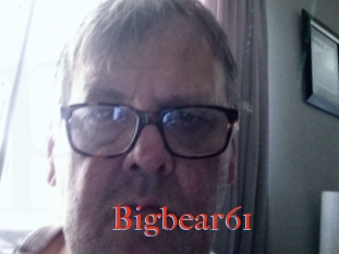 Bigbear61