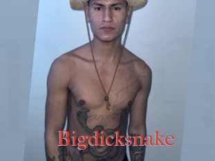 Bigdicksnake