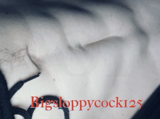 Bigsloppycock125
