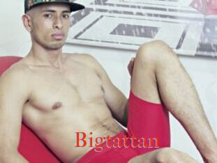 Bigtattan