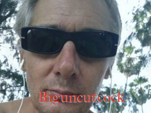 Biguncutcock