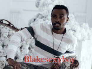 Blakesexyboy