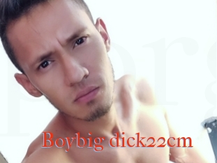 Boybig_dick22cm