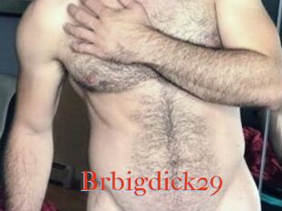 Brbigdick29