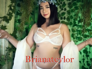 Brianateylor