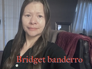 Bridget_banderro