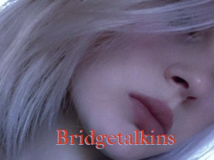 Bridgetalkins