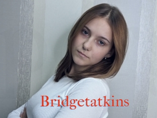 Bridgetatkins