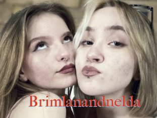 Brimlanandnelda