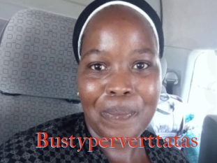 Bustyperverttatas