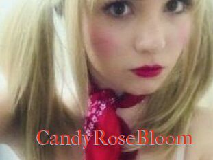 CandyRoseBloom