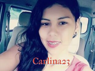 Carlina23