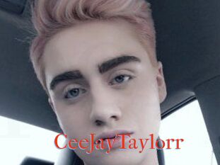 CeeJayTaylorr