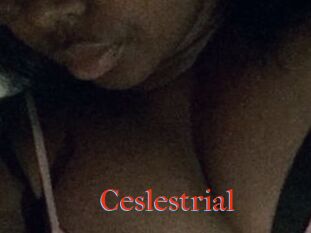 Ceslestrial