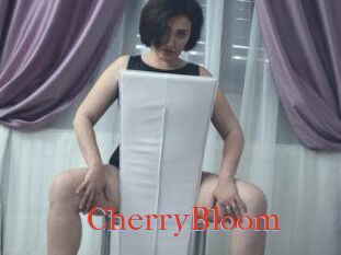 CherryBloom