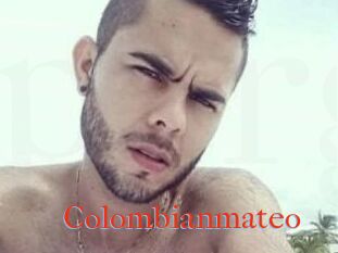 Colombian_mateo