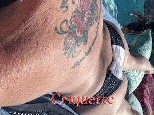 Criquette