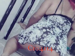 C104114