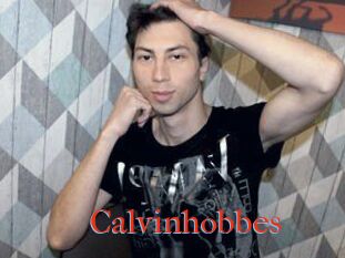 Calvinhobbes