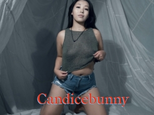 Candicebunny