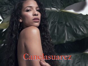 Canelasuarez