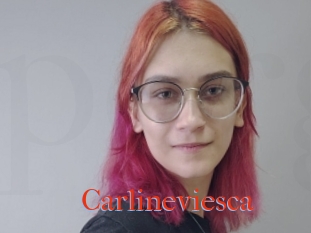 Carlineviesca