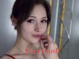 Carrybush