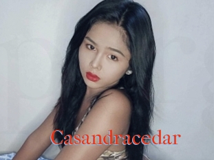 Casandracedar