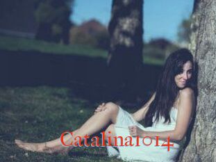 Catalina1014