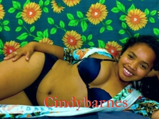 Cindybarnes