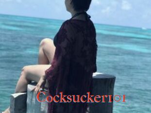 Cocksucker101