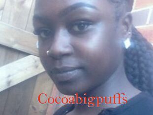 Cocoabigpuffs
