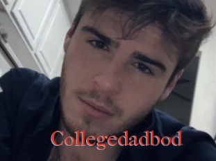 Collegedadbod