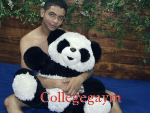 Collegegaym