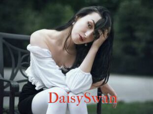 DaisySwan