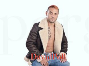 DavidPoll