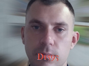 D1593